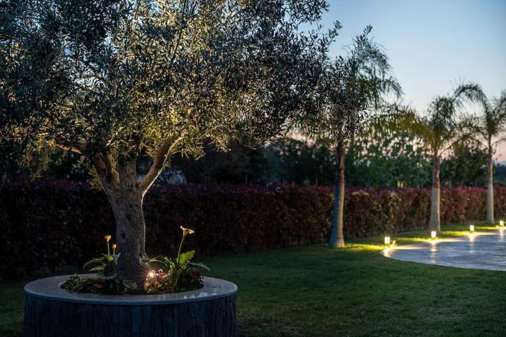 "Aeolos" Luxury Villa Preveza Exterior photo